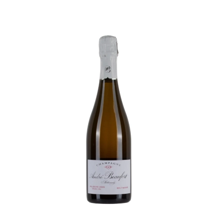 André Beaufort Ambonnay 2005 Sbocc. '24 bottiglia 75cl – Bwineshop