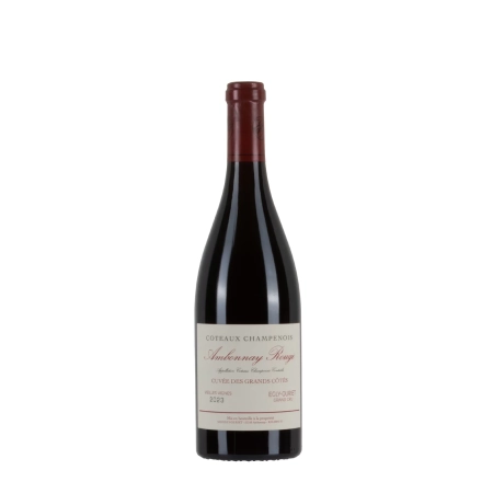 Egly-Ouriet Coteaux Champenois Ambonnay Rouge 2023 bottiglia 75cl – Bwineshop