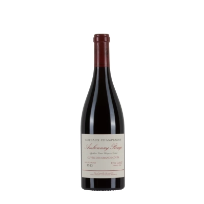Egly-Ouriet Coteaux Champenois Ambonnay Rouge 2023 bottiglia 75cl – Bwineshop