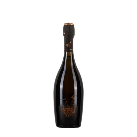 De Sousa Mycorhize bottiglia 75cl - Bwineshop