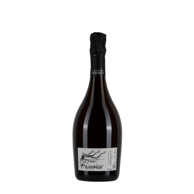 Assailly P.Assailly bottiglia 75cl – Bwineshop