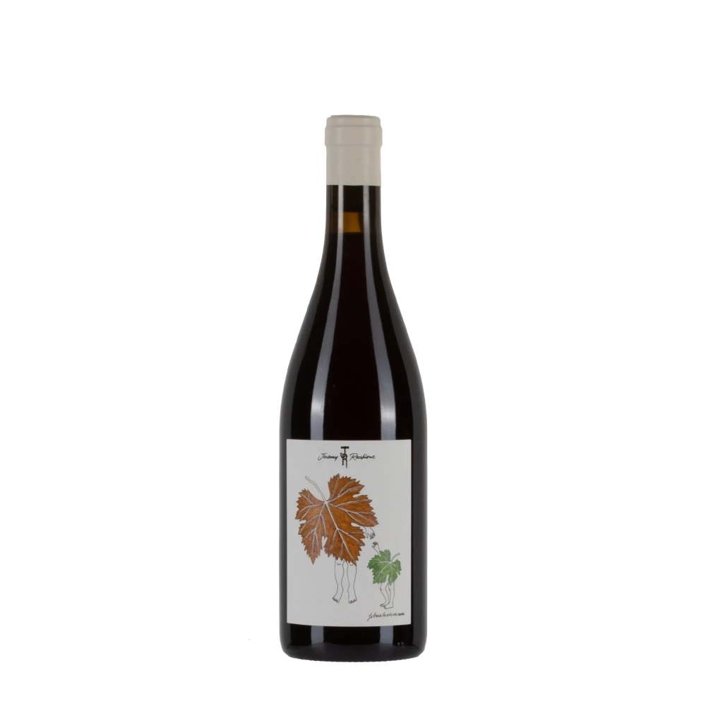 Jérémy Recchione Coteaux Bourguignons 2024 bottiglia 75cl – Bwineshop