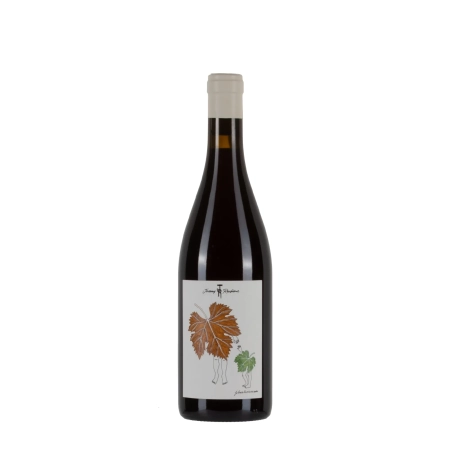 Jérémy Recchione Coteaux Bourguignons 2024 bottiglia 75cl – Bwineshop