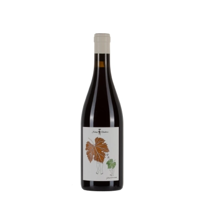 Jérémy Recchione Coteaux Bourguignons 2024 bottiglia 75cl – Bwineshop