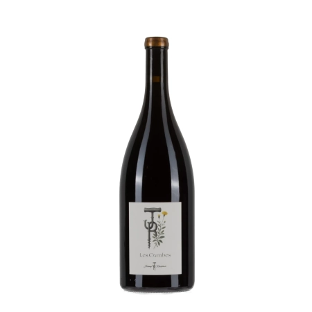 Jérémy Recchione Bourgogne Côte-d'Or Pinot Noir Les Combes 2024 Magnum 150cl – Bwineshop