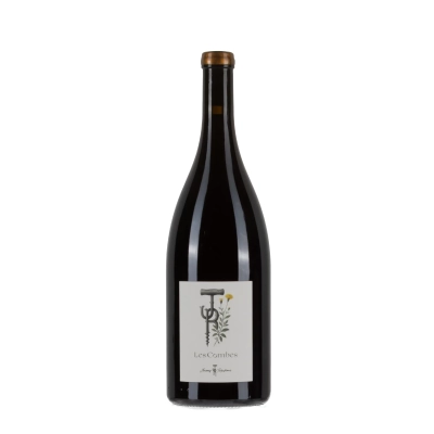 Jérémy Recchione Bourgogne Côte-d'Or Pinot Noir Les Combes 2024 Magnum 150cl – Bwineshop