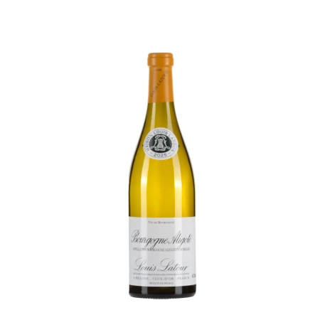 Louis Latour Bourgogne Aligoté 2025 bottiglia 75cl – Bwineshop