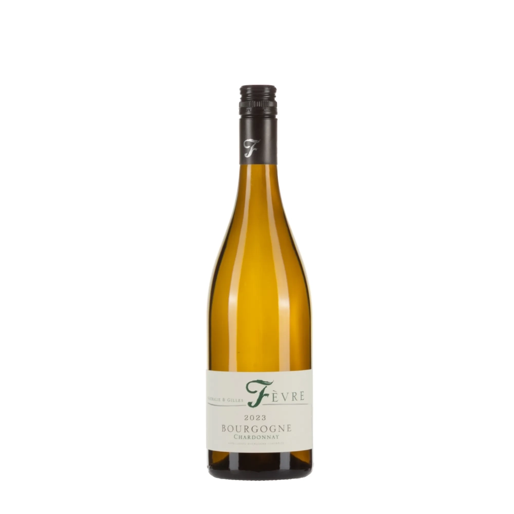 Nathalie & Gilles Fèvre Bourgogne Blanc Chardonnay 2023 bottiglia 75cl – Bwineshop
