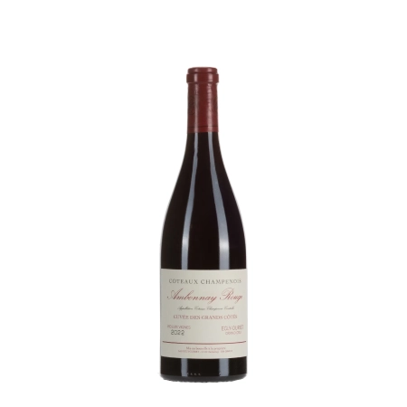 Egly-Ouriet Coteaux Champenois Ambonnay Rouge 2022 bottiglia 75cl – Bwineshop