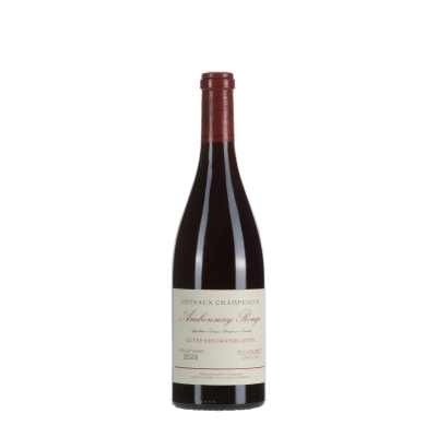 Egly-Ouriet Coteaux Champenois Ambonnay Rouge 2022 bottiglia 75cl – Bwineshop