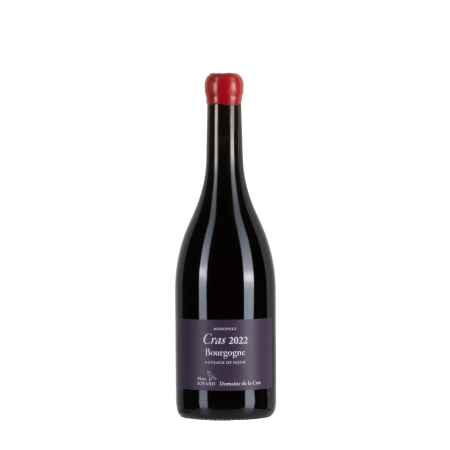 Marc Soyard Domaine de la Cras Bourgogne Monopole Cras 2022 bottiglia 75cl – Bwineshop