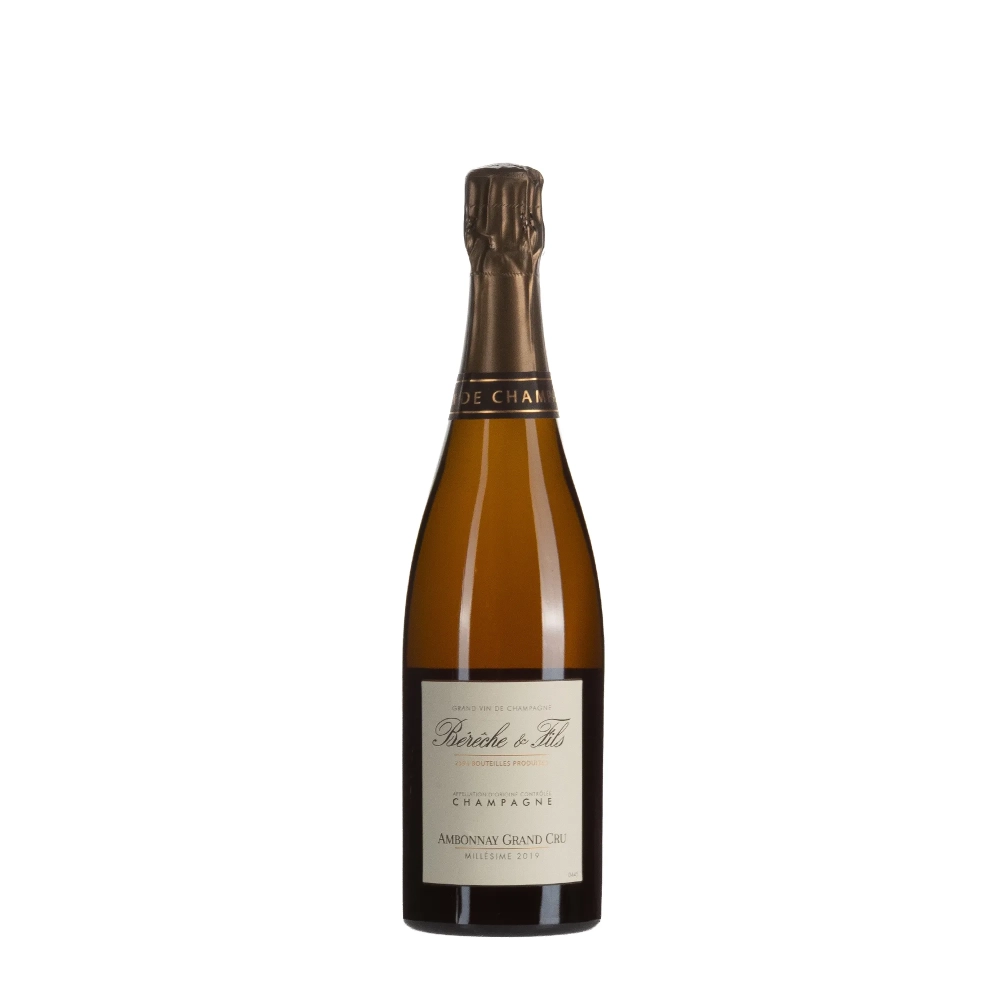 Bérêche & Fils Ambonnay 2019 bottiglia 75cl – Bwineshop