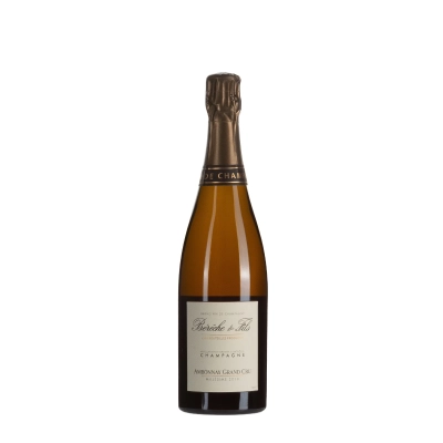 Bérêche & Fils Ambonnay 2019 bottiglia 75cl – Bwineshop