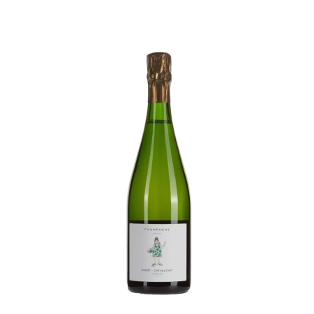 Pinot Chevauchet Joyeuse bottiglia 75cl – Bwineshop