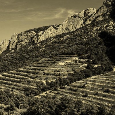 Rosati Côtes du Rhône | Bwineshop.com