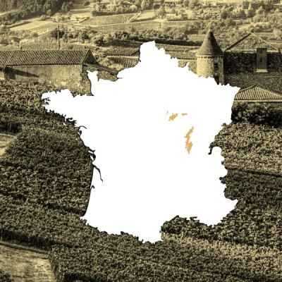 Vini Bianchi della Borgogna – Bwineshop