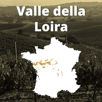 Vini Bianchi della Valle della Loira – Bwineshop