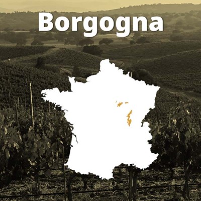 Vini di Borgogna Rossi - Bwineshop
