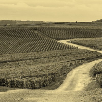 Coteaux Champenois Rossi - Bwineshop