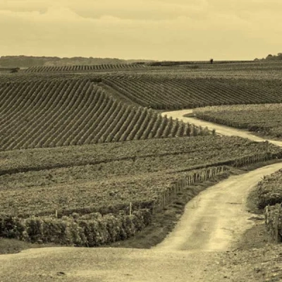 Vini Rossi Francesi di Altre Regioni – Bwineshop