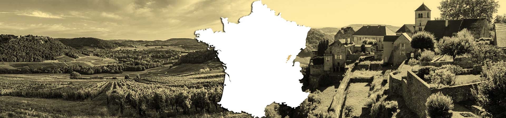 Vini Bianchi dello Jura | Savagnin e Chardonnay - Bwineshop