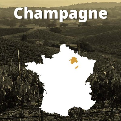 Champagne | Oltre 1200 Etichette | Bwineshop.com