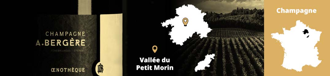 Banner-Orizz-Alice-Beaufort.jpg