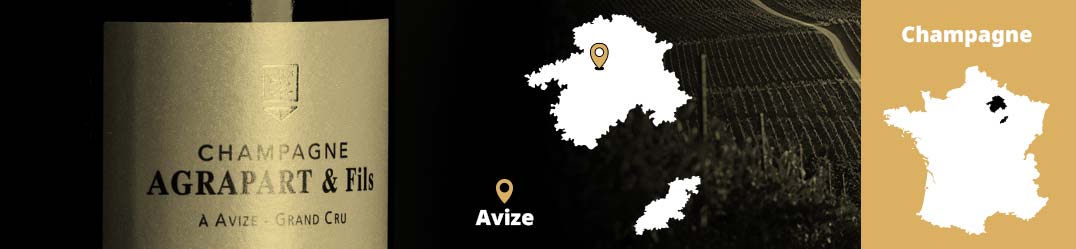 Banner-Orizz-Alice-Beaufort.jpg