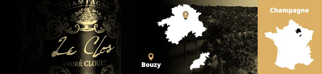 Banner-Orizz-Alice-Beaufort.jpg