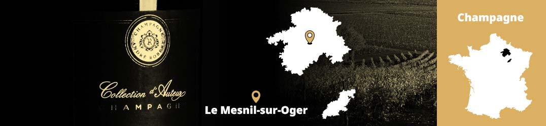 Banner-Orizz-Alice-Beaufort.jpg