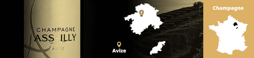 Banner-Orizz-Alice-Beaufort.jpg