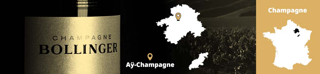 Banner-Orizz-Alice-Beaufort.jpg