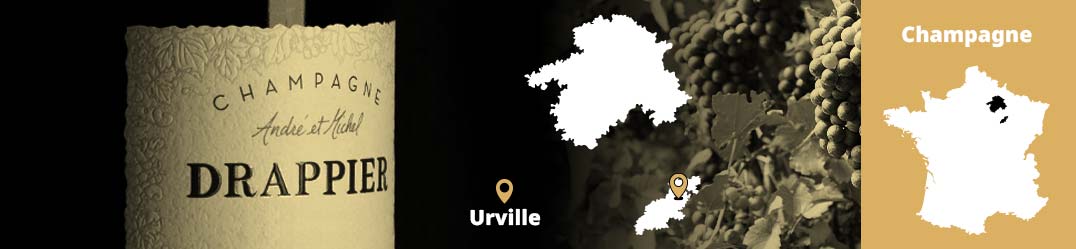 Banner-Orizz-Alice-Beaufort.jpg