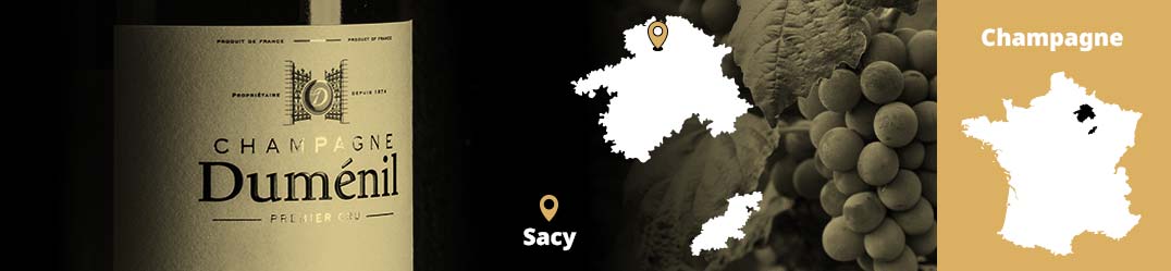 Banner-Orizz-Alice-Beaufort.jpg