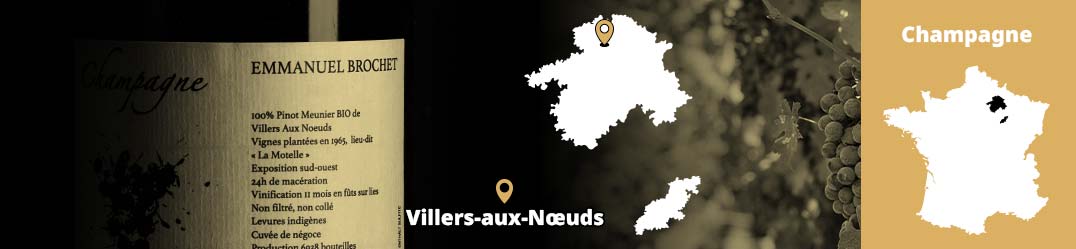Banner-Orizz-Alice-Beaufort.jpg