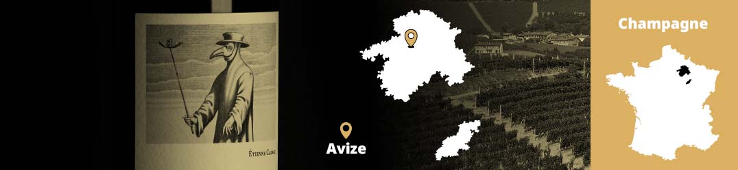 Banner-Orizz-Alice-Beaufort.jpg