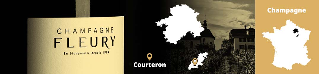 Banner-Orizz-Alice-Beaufort.jpg