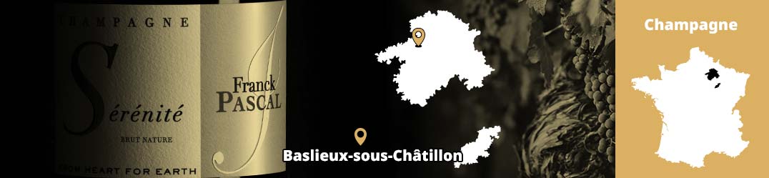 Banner-Orizz-Alice-Beaufort.jpg