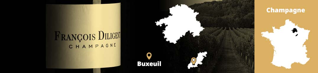 Banner-Orizz-Alice-Beaufort.jpg