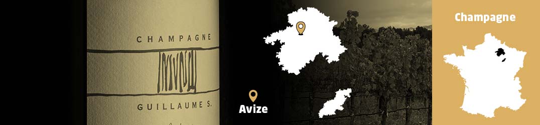 Banner-Orizz-Guillaume-Selosse.jpg