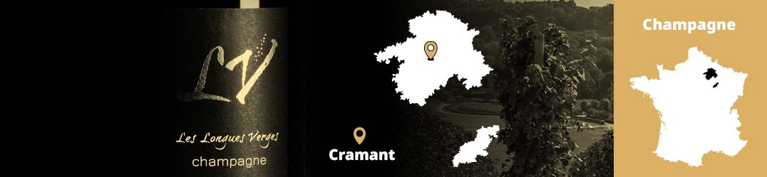 Banner-Orizz-Alice-Beaufort.jpg