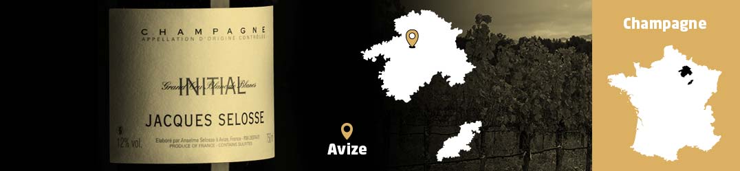 Banner-Orizz-Alice-Beaufort.jpg