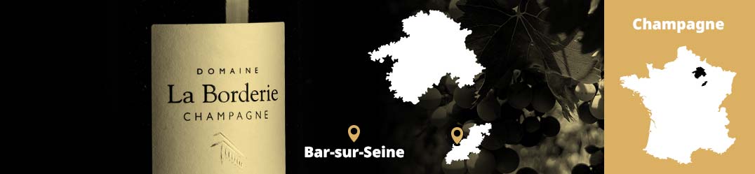 Banner-Orizz-Alice-Beaufort.jpg