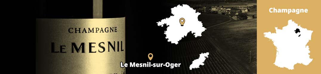 Banner-Orizz-Alice-Beaufort.jpg