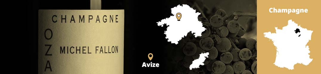 Banner-Orizz-Alice-Beaufort.jpg