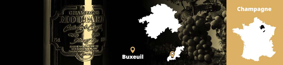 Banner-Orizz-Alice-Beaufort.jpg