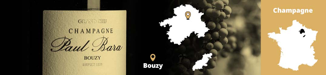 Banner-Orizz-Alice-Beaufort.jpg
