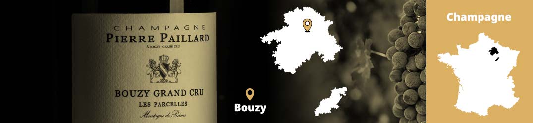 Banner-Orizz-Alice-Beaufort.jpg
