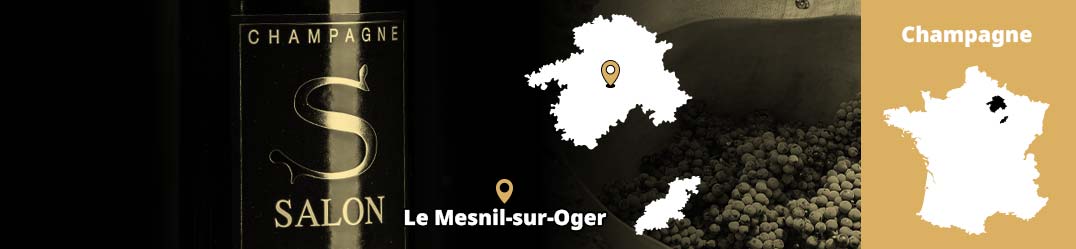 Banner-Orizz-Alice-Beaufort.jpg