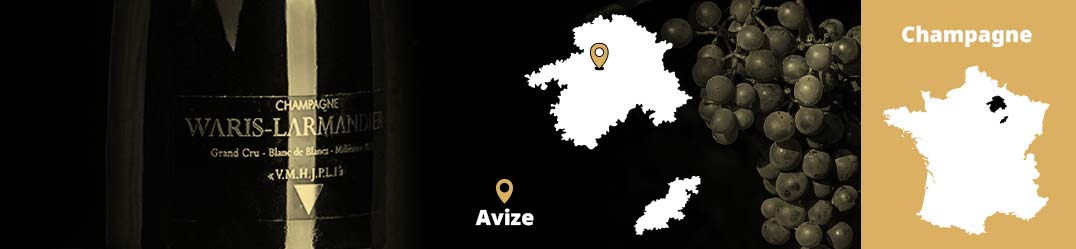 Banner-Orizz-Alice-Beaufort.jpg